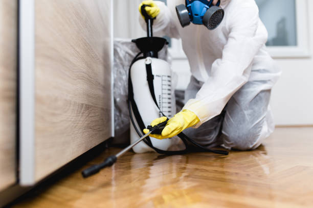 Best Mosquito Control Services  in Andale, KS