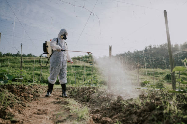 Best Mosquito Control Services  in Andale, KS