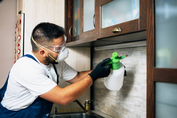Best Exterminator Services  in Andale, KS
