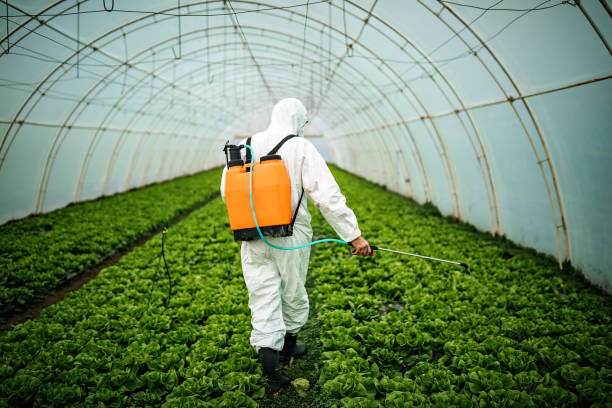 Best Pest Inspection Near Me  in Andale, KS