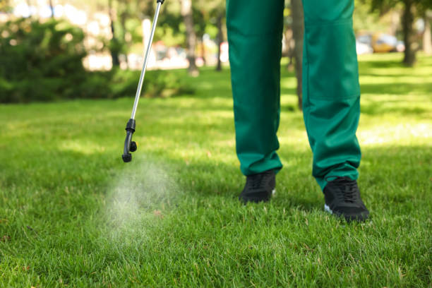 Best Bed Bug Extermination  in Andale, KS