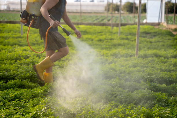 Best Best Pest Control Companies  in Andale, KS