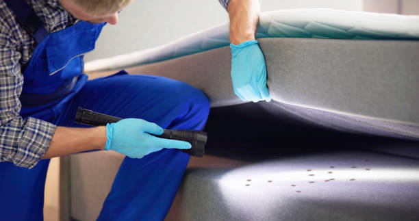 Best Pest Inspection Near Me  in Andale, KS