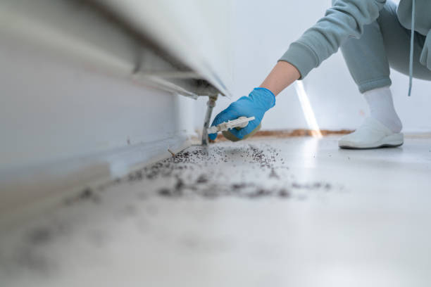 Best Affordable Pest Control Services  in Andale, KS