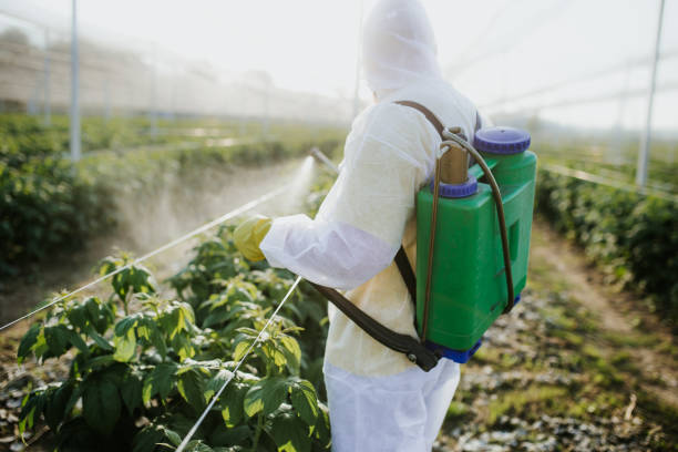 Best Flea Control Services  in Andale, KS